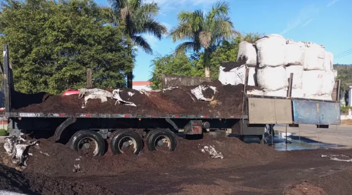 Carreta carregada de casca de arroz pega fogo em Turvo