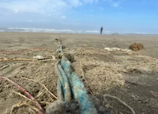 Pescador é encontrado morto na beira-mar em Balneário Arroio do Silva