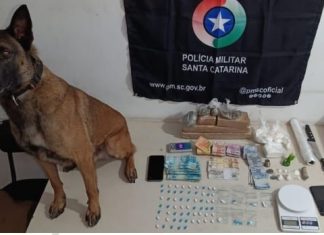 Traficante é preso após PM encontrar grande quantidade de drogas em Sombrio