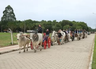 Ceprag promove no próximo sábado seu primeiro Passeio de Carro de Boi