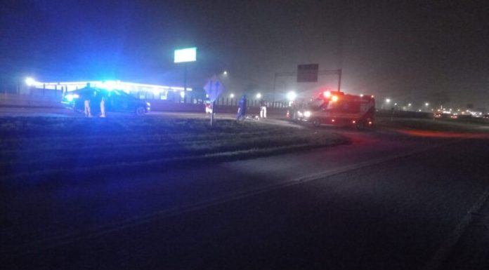 Atropelamento com morte é registrado na BR 101 em Araranguá