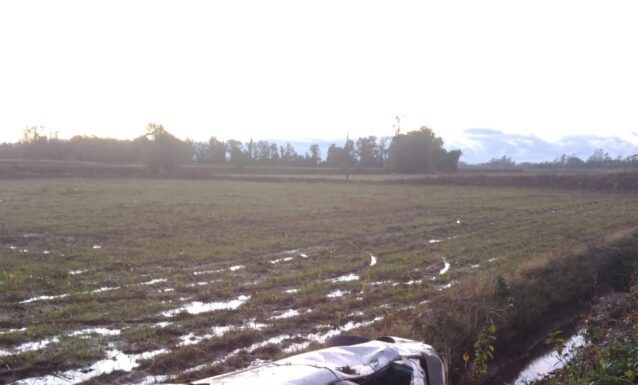 Mulher fica ferida em capotamento na SC 447