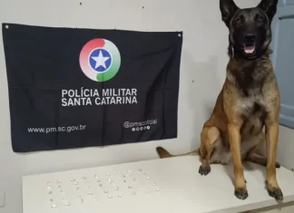 PM encontra crack em terreno baldio em Araranguá