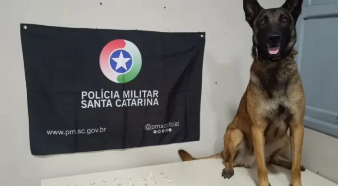 PM encontra crack em terreno baldio em Araranguá