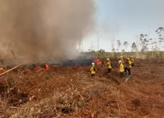 Corpo de Bombeiros Militar em Sombrio recebe os futuros comandantes da corporação para o Curso de Prevenção e Combate aos Incêndios Florestais