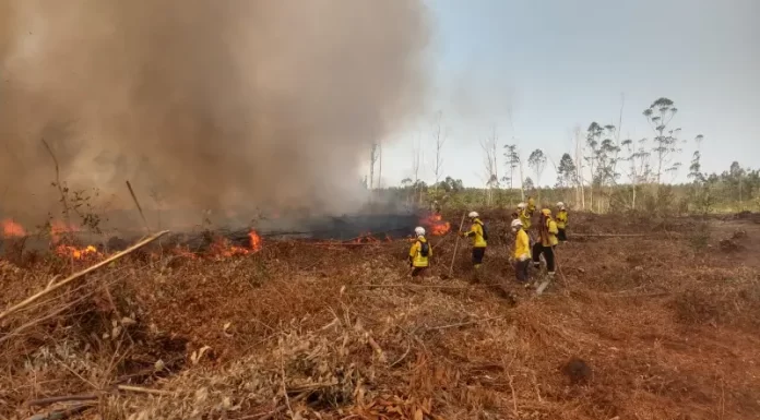 Corpo de Bombeiros Militar em Sombrio recebe os futuros comandantes da corporação para o Curso de Prevenção e Combate aos Incêndios Florestais