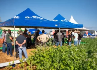 Cooperja prepara edição do Campo de Inverno e comemora 55 anos de sua história