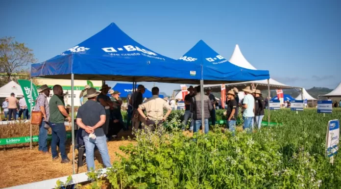 Cooperja prepara edição do Campo de Inverno e comemora 55 anos de sua história