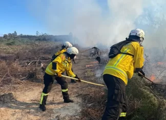 Bombeiros catarinenses são enviados a Mato Grosso para atuarem no combate aos incêndios