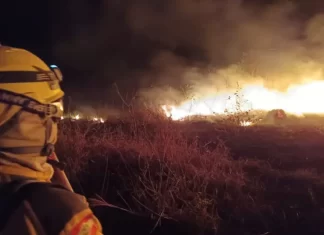 Bombeiros de SC atuam na operação contra incêndio no Pantanal