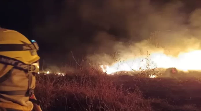 Bombeiros de SC atuam na operação contra incêndio no Pantanal