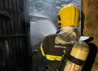 Incêndio em Estufa em Timbé do Sul Gera Prejuízo