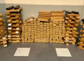 Ação conjunta entre BM e PRF intercepta condutor com 281 Kg de maconha