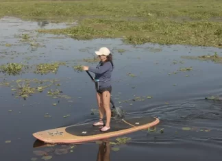 Balneabilidade da Lagoa de Sombrio é projeto de Gislaine