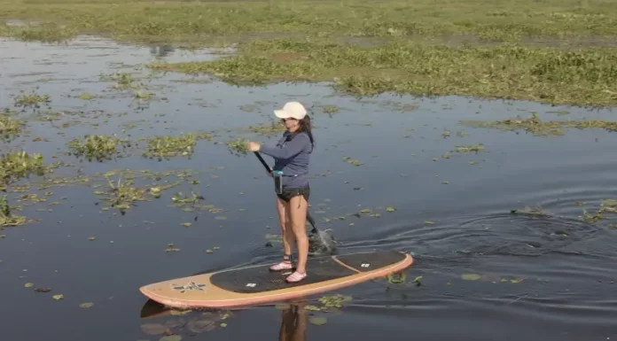 Balneabilidade da Lagoa de Sombrio é projeto de Gislaine