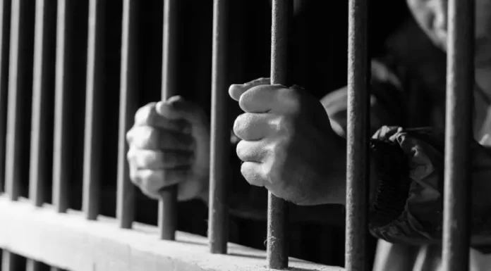 Polícia Civil de Turvo prende furtador da região