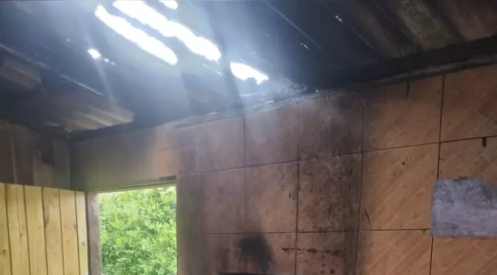 Princípio de incêndio assusta moradores no bairro Nova Divinéia em Araranguá