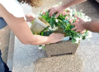 Prevenção contra a Dengue nos cemitérios de Gaivota