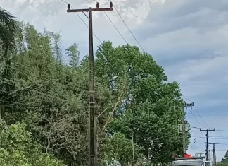 CEPRAG em ação rápida para recuperação da rede de energia após fortes chuvas e ventos