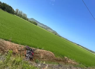 Empresário araranguaense morre em trágico acidente de moto em Maracajá