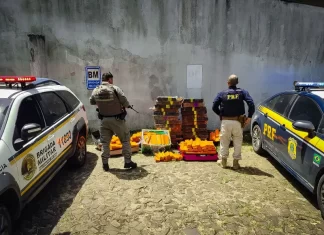 Ação conjunta da Brigada Militar e PRF apreende mais de 500 kg de maconha em Torres