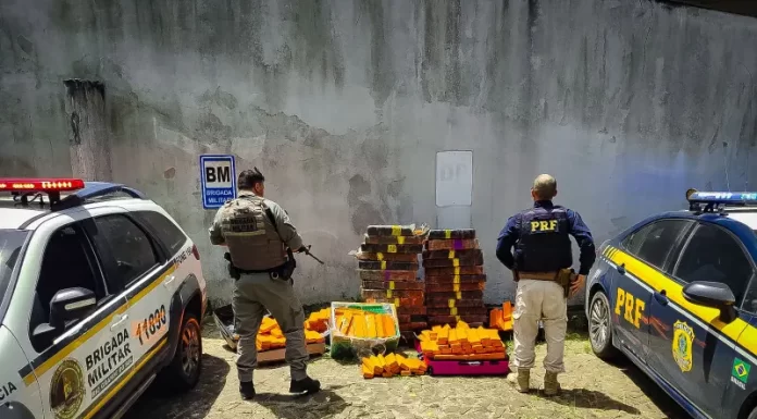 Ação conjunta da Brigada Militar e PRF apreende mais de 500 kg de maconha em Torres
