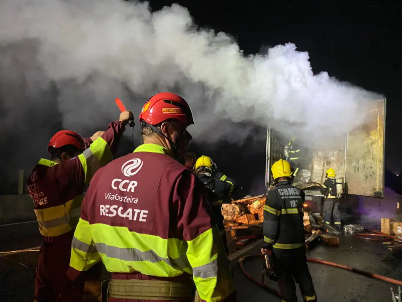 WhatsApp Image 2024-11-05 at 05.41.40