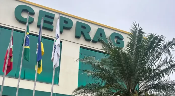 Ceprag promove semana interna de prevenção de acidentes de trabalho