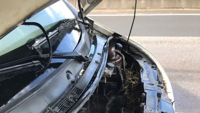 Furgão pega fogo na BR-101 em Sombrio