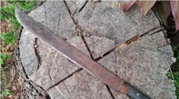 Homem armado com facão ataca funcionário de companhia elétrica em Santa Rosa do Sul