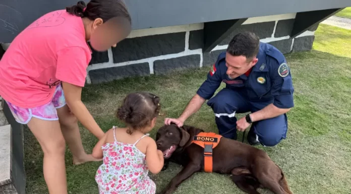Bombeiros concluem participação na operação Hagnos