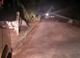Acidente de Trânsito em Turvo: Motorista abandona veículo após colisão com poste