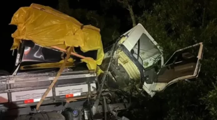 Milagre na Serra do Rio do Rastro: dois homens sobrevivem a caminhão pendurado no abismo