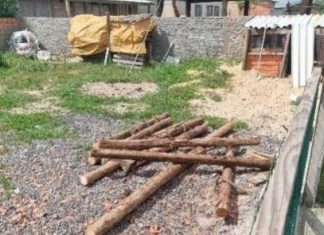 Furto de palanques é registrado em Balneário Gaivota