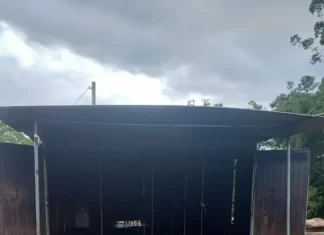 Incêndio em estufa de fumo mobiliza corpo de bombeiros em Jacinto Machado