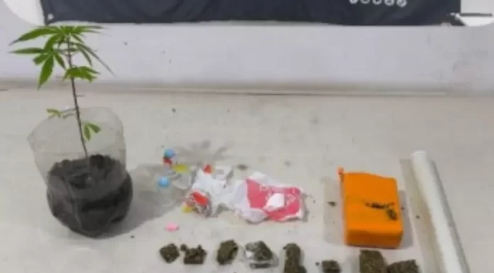 Suspeito armado é flagrado com drogas em Sombrio