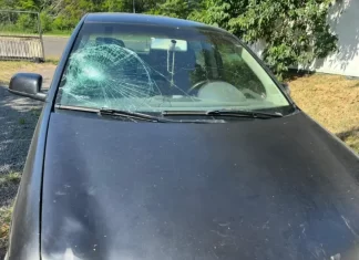 Motorista que atropelou 8 pessoas em Santa Rosa do Sul se apresenta na delegacia