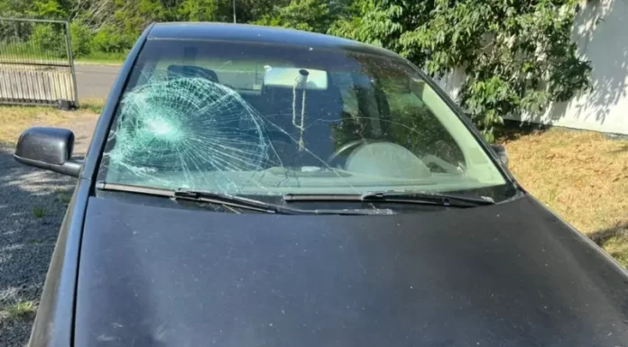 Motorista que atropelou 8 pessoas em Santa Rosa do Sul se apresenta na delegacia