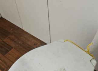 Polícia Civil de Balneário Arroio do Silva prende homem por maus-tratos e abuso sexual contra animais