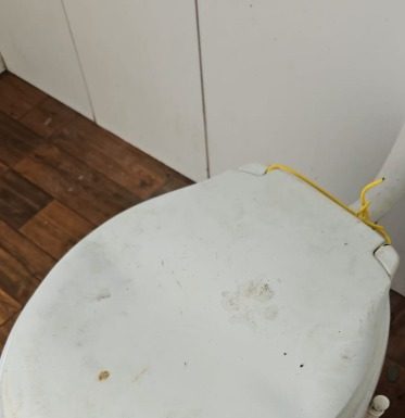 Polícia Civil de Balneário Arroio do Silva prende homem por maus-tratos e abuso sexual contra animais