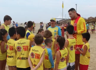 Programa Golfinho acontece neste fim de semana nas praias