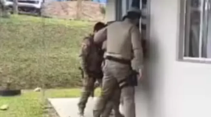 Menina de 4 anos é assassinada a facadas em SC