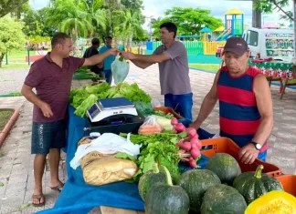 Feira da Agricultura Familiar: Um modelo de desenvolvimento sustentável em São João do Sul