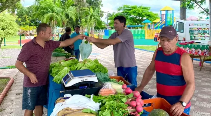 Feira da Agricultura Familiar: Um modelo de desenvolvimento sustentável em São João do Sul
