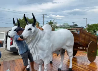 Reforma concluída: Monumento do Carro de Boi volta ao seu local