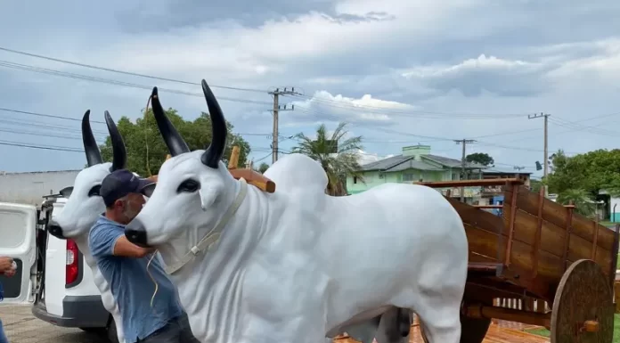 Reforma concluída: Monumento do Carro de Boi volta ao seu local