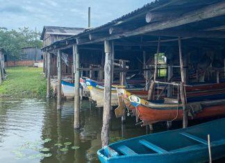 LIMPEZA DOS PORTOS: Uma necessidade para os pescadores de barrinha