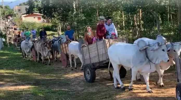 Primeiro encontro do ano dos amigos do carro de boi acontece esse final de semana em São João do Sul