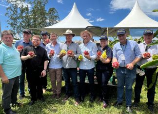 Sucesso, Tecnologia e Inovação: Foram destaques no Campo Agroacelerador da Cooperja