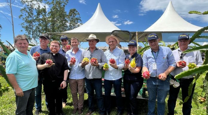 Sucesso, Tecnologia e Inovação: Foram destaques no Campo Agroacelerador da Cooperja